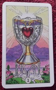 photo of the Ace of Cups from the Robin Wood tarot