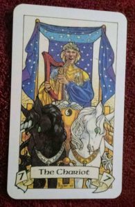 photo of The Chariot card from the Robin Wood tarot